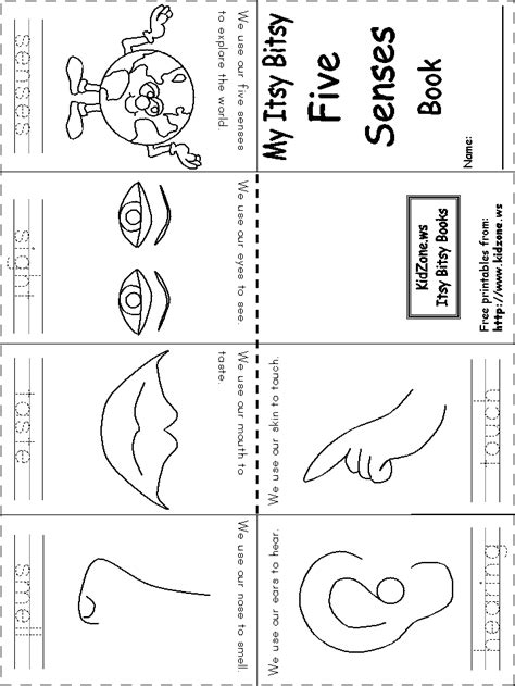 The Five Senses {Printable Worksheets, Mini Book, & Posters