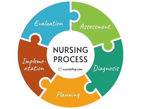 The Five Step Nursing Process Indeed.com