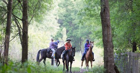 The Florida Horse Park: Ocala