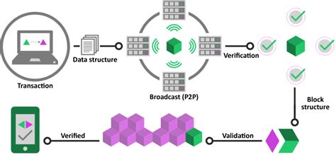 The Flow Blockchain: Powering the Cryptoys Platform
