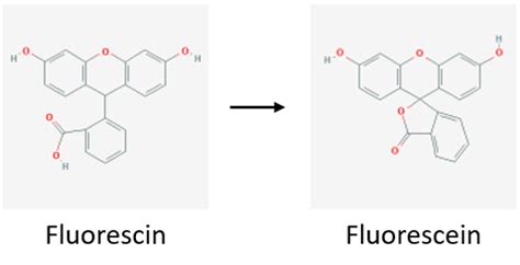 The Fluorescein Method of Latent Blood Detection