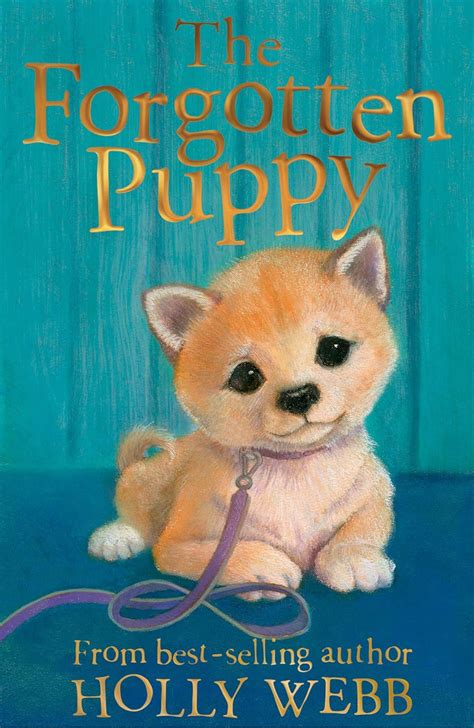 The Forgotten Puppy: 29 (Holly Webb Animal Stories …