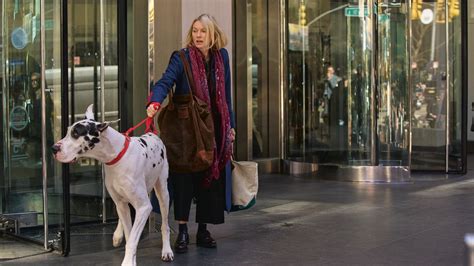 The Friend (2024) MUBI. 