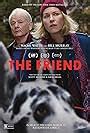 The Friend Get Tickets IMDb.