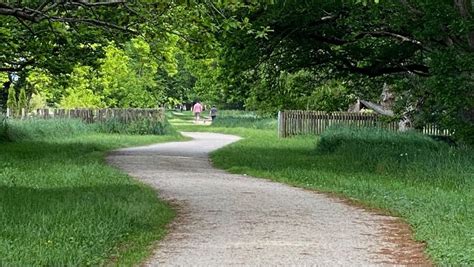 The Future - Greytown Rail Trail