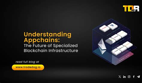 The Future of Appchains: A Specialized Blockchain Ecosystem