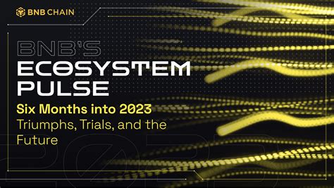 The Future of BNB Smart Chain and the BNB Chain Ecosystem
