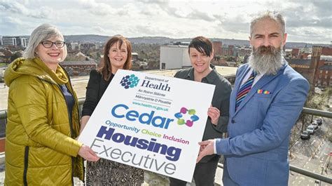 The Future of the Northern Ireland Housing Executive