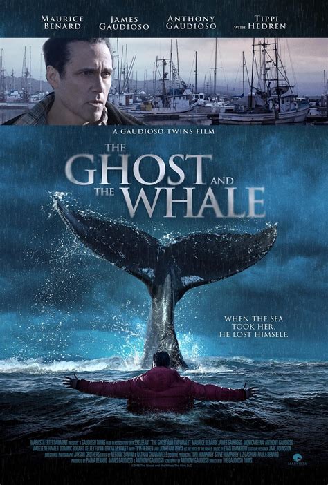 The Ghost and the Whale
