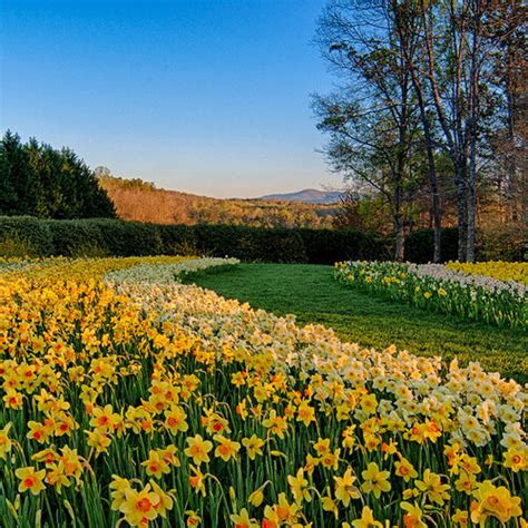 The Gibbs Gardens Shine in Spring - FineGardening