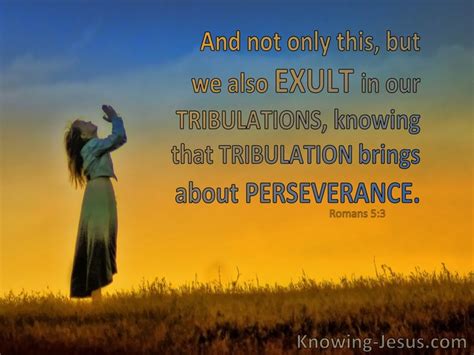 The Gift of Perseverance Reformed Bible Studies & Devotionals …