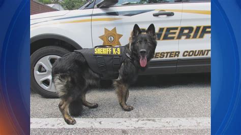 The Gloucester County Police K9 Association Inc.