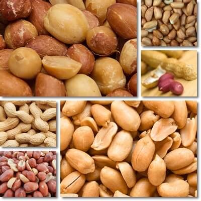 The Glycemic Index of Peanuts – NatureWord