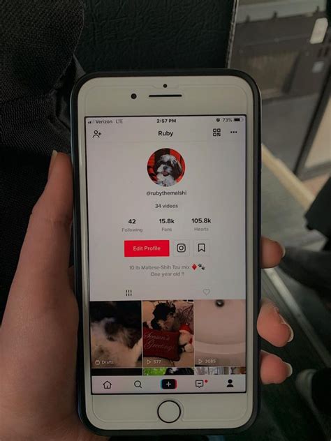 The Good and the Bad of Tik Tok – Sequoit Media