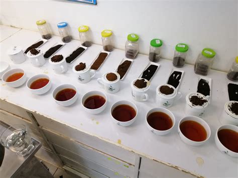 The Grading Of Tea