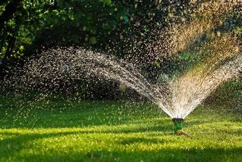 The Grass Outlet Watering