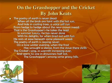 The Grasshopper and the Bell Cricket Plot Summary