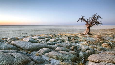 The Great Salt Pans Makgadikgadi & Nxai Botswana - Expert …