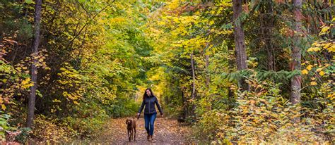 The Great Trail Nelson Kootenay Lake Tourism