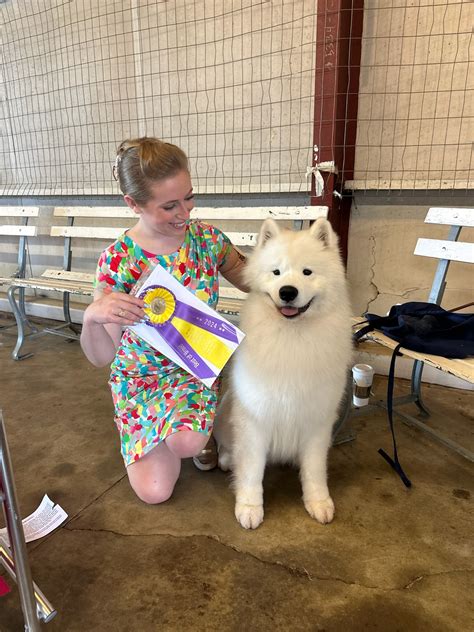 The Greater Pittsburgh Samoyed Club - Facebook