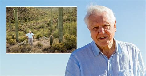 The Green Planet: Sir David Attenborough stabbed by cactus on …