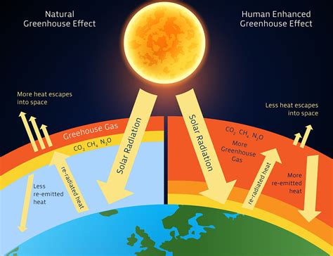 The Greenhouse Effect - Human impact on our environment - BBC Bitesize