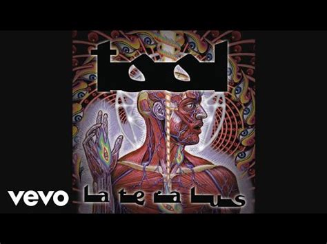 The Grudge by Tool - Songfacts