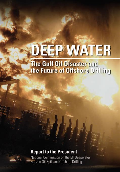 The Gulf Oil Disaster and the Future of Offshore Drilling