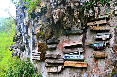 The Hanging Coffins of Sagada.. Coffins hung from …