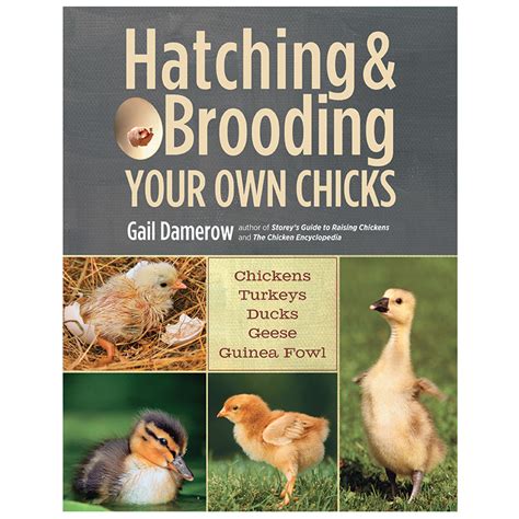 The Hatching A Novel