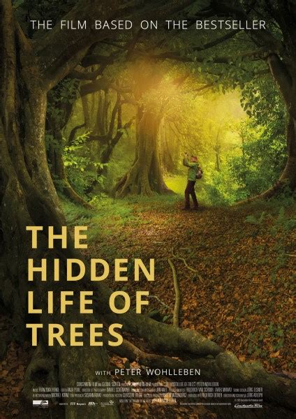 The Hidden Life of Trees IMDb