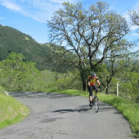 The Hills of Napa - Eagle Cycling Club