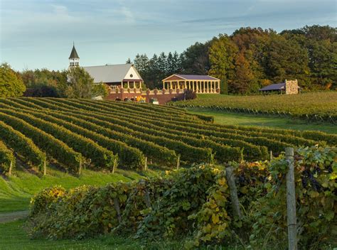 The History of Wineries and Vineyards in Ohio