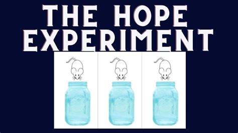 The Hope Experiment!! - YouTube