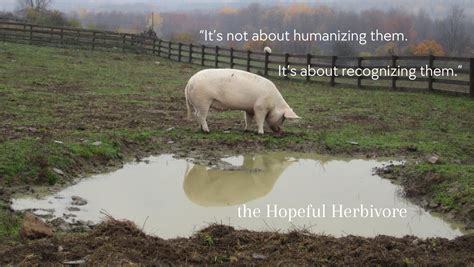 The Hopeful Herbivore - Inicio - Facebook