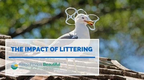 The Impact of Littering in our Communities - Keep Florida Beautiful