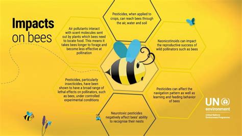 The Importance Of Bees In The Ecosystem – Humans For Survival