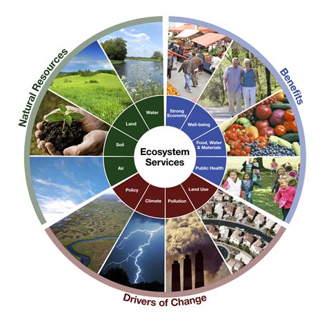 projects support strategy
