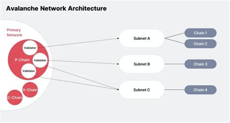 The Importance of Subnets in Blockchain Architecture
