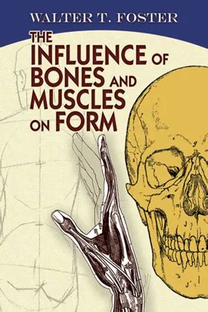 The Influence Of Bones And Muscles On Form