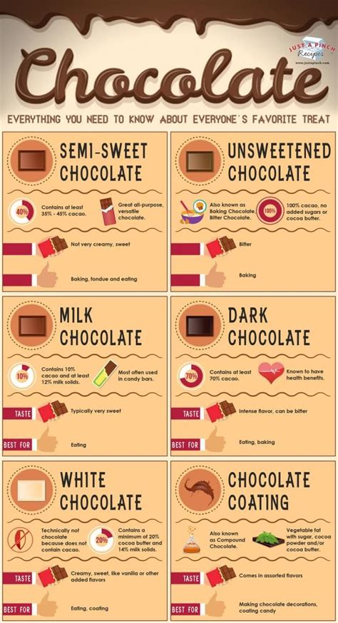 The Insider s Guide to Making Chocolate