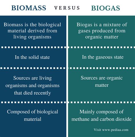 The Key Differences Between Biogas and Biomass