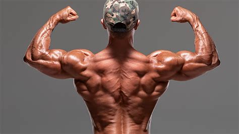 The Key to Complete Upper Back Development