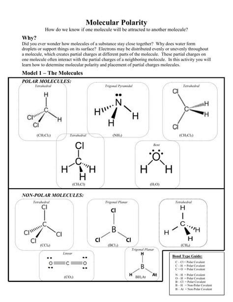 The Key to Understanding Polar and Nonpolar Molecules Worksheet