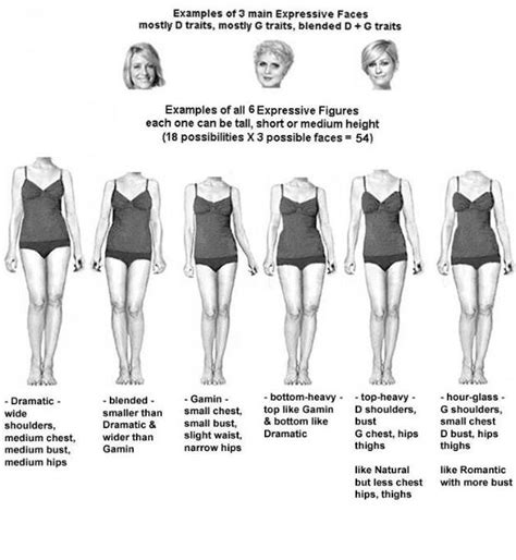 The Kibbe Body Types and Style Guide Her Style Code