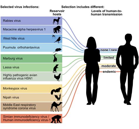 The Land Down Under viral illness instances decrease by 65% during experts urge inoculation
