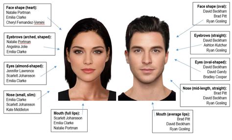 The Language Features of Male and Female Beauty Influencers in …