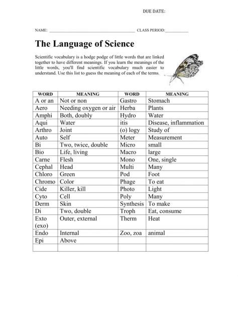 The Language Of Science Worksheet Answers
