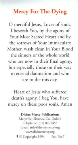 The Last Message of Mercy for a Dying World