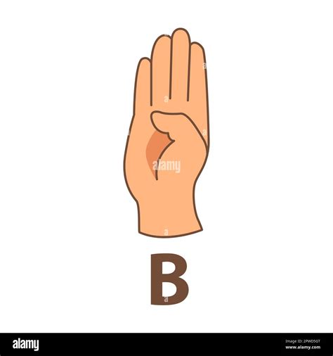 The Letter B in Sign Language - How to Do Sign …